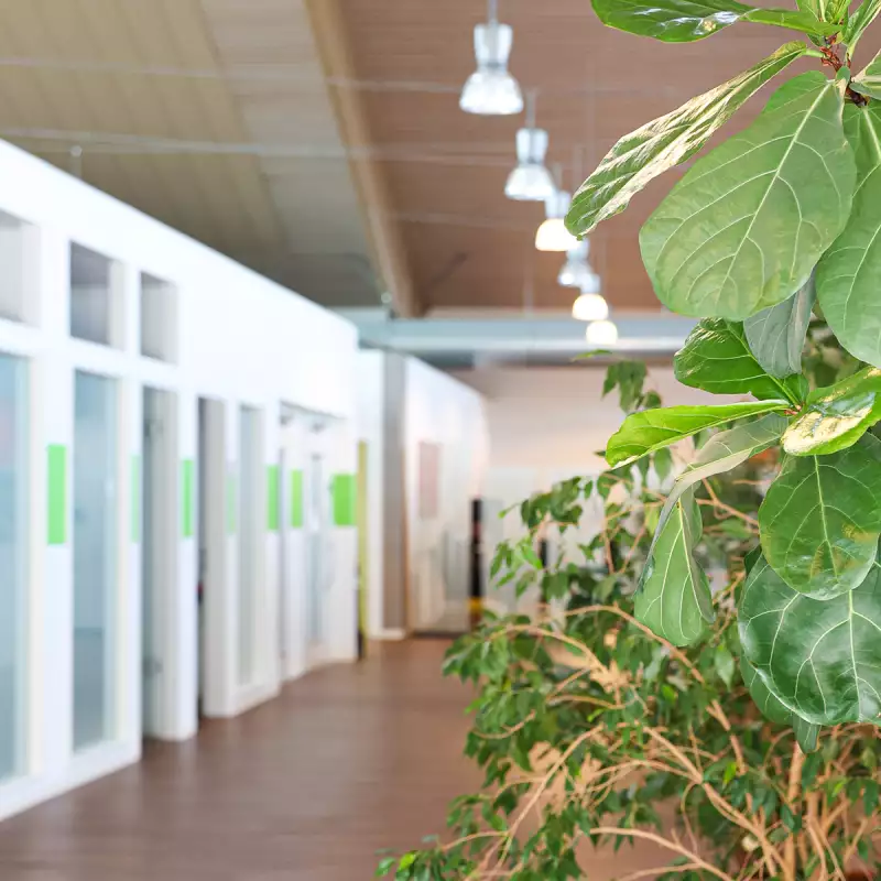 Reha-Zentrum Mainz - Gang